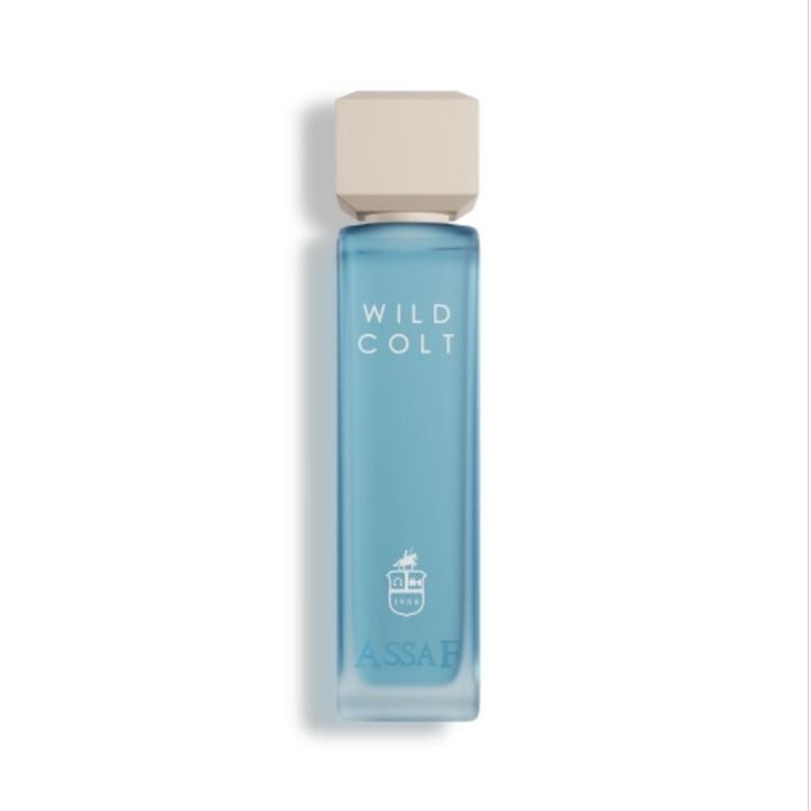 Assaf Wild Colt